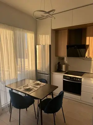 Apartament 1+1 me qera në Nexho Konomi, Tiranë, 67 m². Foto 1 nga 12