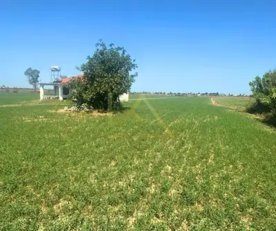 Land for sale in Fllake, Durrës, 20,200 m². Photo 3 of 5