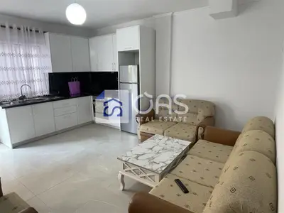 Appartamento 1+1 in affitto ad Institut, Kamza, 55 m². Foto 5 di 8
