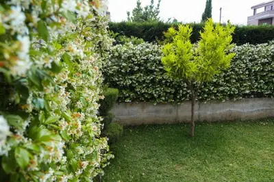 Shtëpi private 2+1 në shitje në Sukth, Durrës, 189 m². Foto 10 nga 10