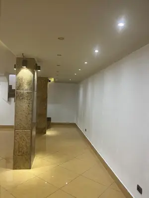 Dyqan me qera në Sheshi Willson, Tiranë, 100 m². Foto 7 nga 12