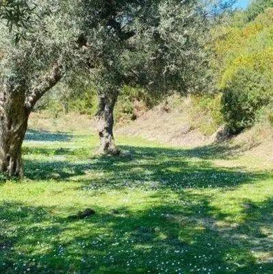 Terreno in vendita a Lukove, Saranda, 1.000 m². Foto 3 di 3
