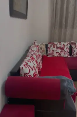 Apartment 1+1 for rent in Komuna e Parisit, Tirana, 50 m². Photo 2 of 3