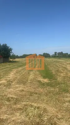 Land for sale in Koxhas, Durrës, 5,600 m². Photo 7 of 7