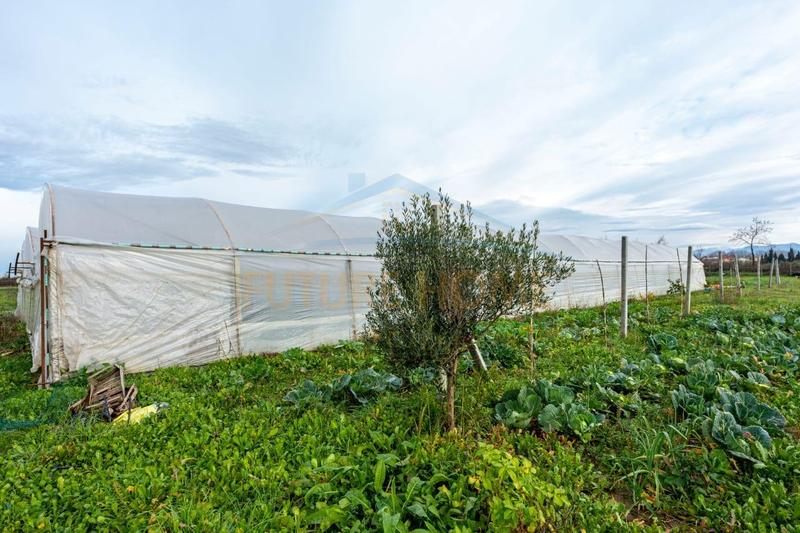 Shtëpi private në shitje në KATUND RI, Durrës, 9 480 m². Foto 12 nga 12