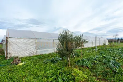 House for sale in Sallmone, Durrës, 9,480 m². Photo 12 of 12