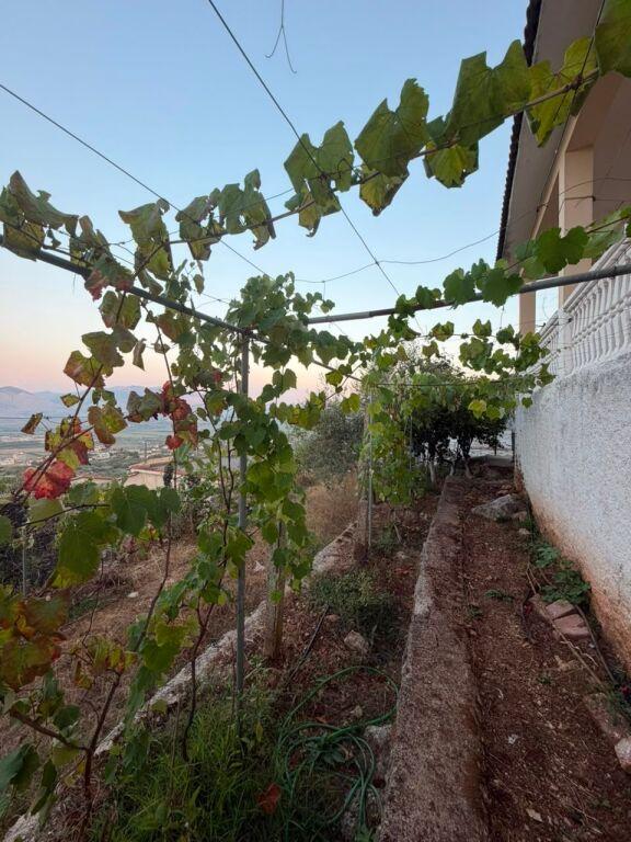 Shtëpi private në shitje në Rruga 40 Shenjtorët, Sarandë, 250 m². Foto 2 nga 10