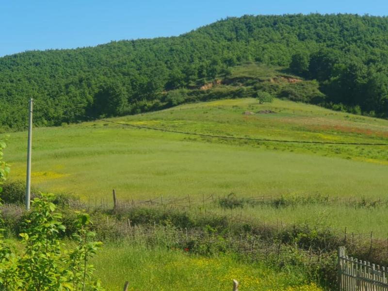 Land for sale in Rruga Gjiri i Lalzit, Durrës, 870 m²