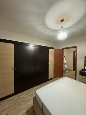 Apartament 1+1 me qera në Rruga Irfan Tomini, Tiranë, 60 m². Foto 4 nga 7
