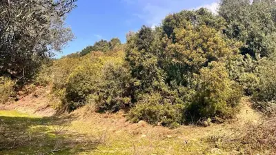 Land for sale in Lukove, Sarandë, 1,000 m². Photo 3 of 5