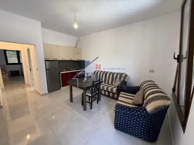 Appartamento 1+1 in affitto a Mëzez, Tirana, 60 m². Foto 3 di 9