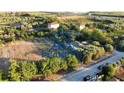 Land for sale in Novosel, Vlorë, 2,000 m². Photo 5 of 7