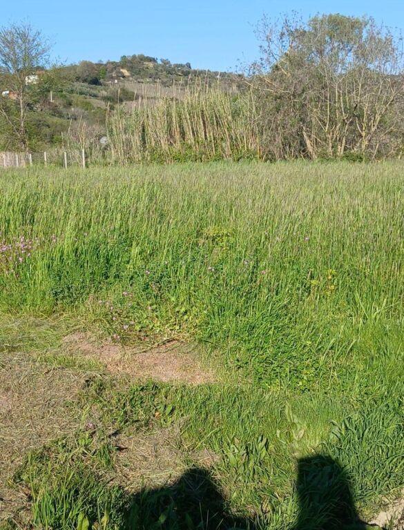 Tokë në shitje në Ndroq, Tiranë, 4 000 m². Foto 3 nga 5