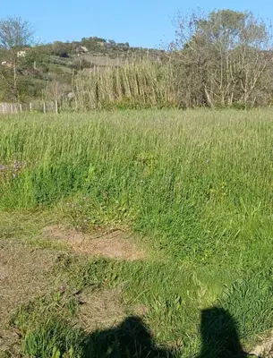 Land for sale in Ndroq, Tirana, 4,000 m². Photo 3 of 5
