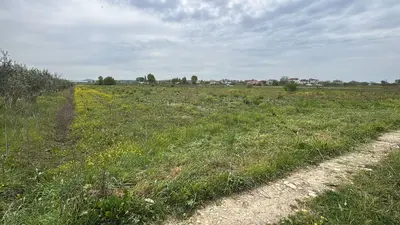Tokë në shitje në Koxhas, Durrës, 10 000 m². Foto 3 nga 4