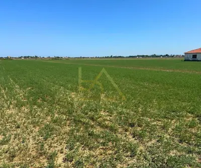 Land for sale in Fllake, Durrës, 20,200 m². Photo 4 of 5