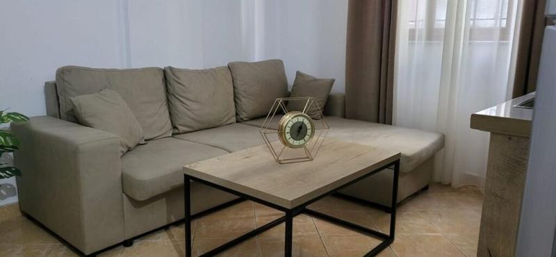 Monolocale in affitto a Rruga Gramoz Pashko, Tirana, 37 m²