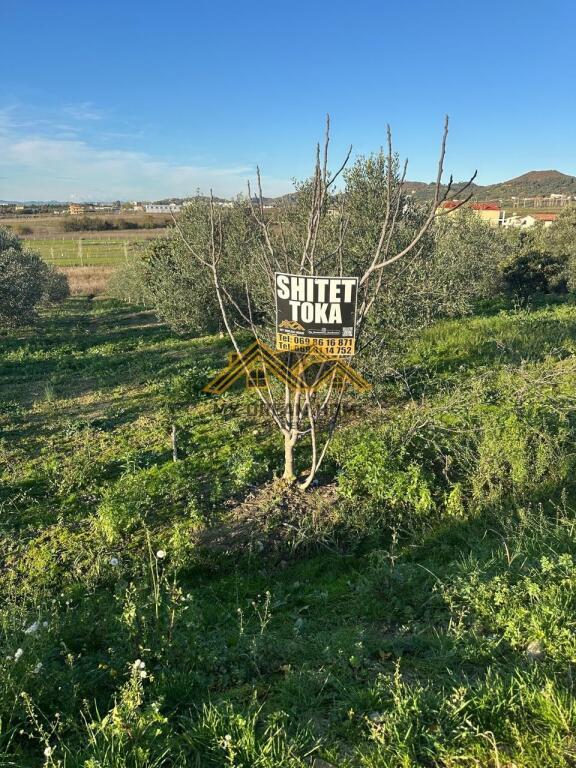 Tokë në shitje në Manez, Durrës, 6 350 m². Foto 2 nga 9