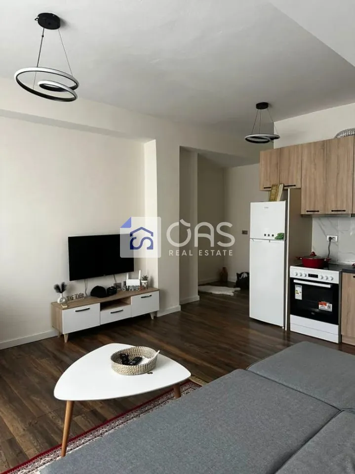 Apartament 1+1 me qera në Brryli, Tiranë, 60 m². Foto 1 nga 4