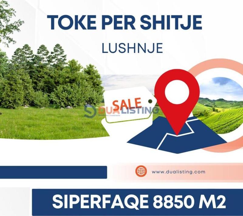 Terreno in vendita a Shtëpia Muze Kongresi i Lushnjës, Lushnja, 8.850 m²