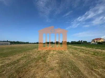 Land for sale in Koxhas, Durrës, 5,600 m². Photo 5 of 7