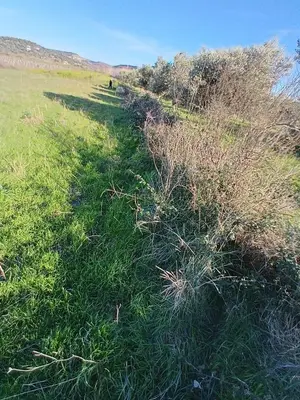 Tokë në shitje në Panaja, Vlorë, 1 000 m². Foto 7 nga 9