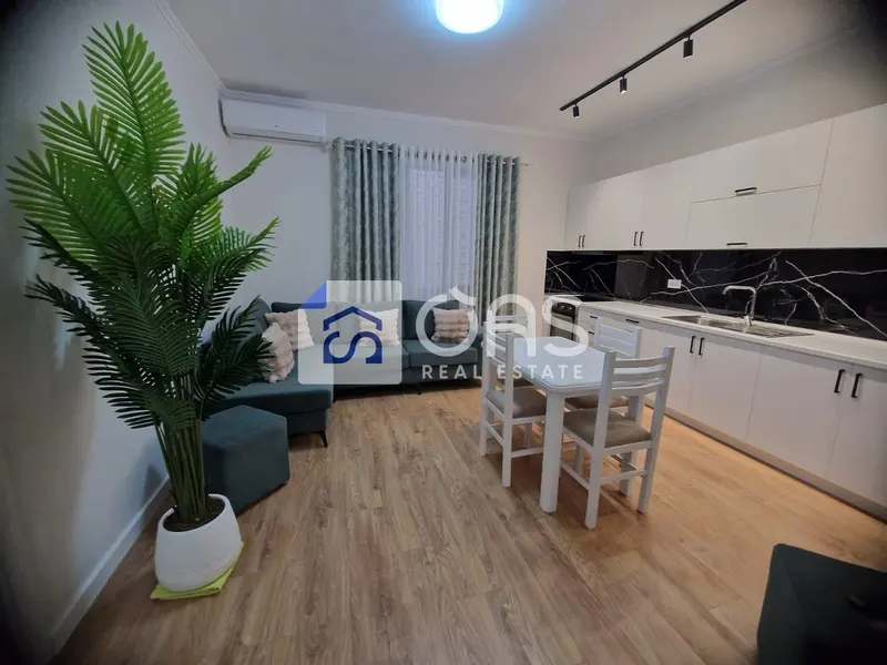 Casa indipendente 2+1 in affitto a Vasil Shanto, Tirana, 100 m²