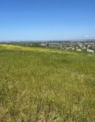 Tokë në shitje në Pjeze, Durrës, 8 000 m². Foto 5 nga 5