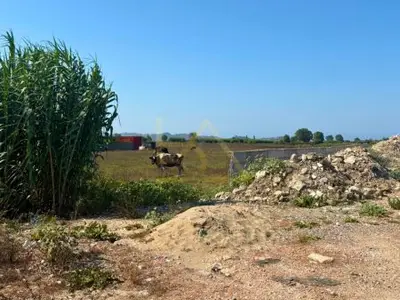 Tokë në shitje në Bisht Kamez, Durrës, 7 000 m². Foto 6 nga 6