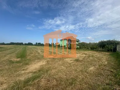 Land for sale in Koxhas, Durrës, 5,600 m². Photo 4 of 7