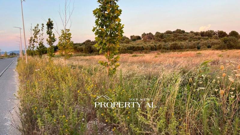 Tokë në shitje në Akërni, Vlorë, 8 000 m². Foto 2 nga 4