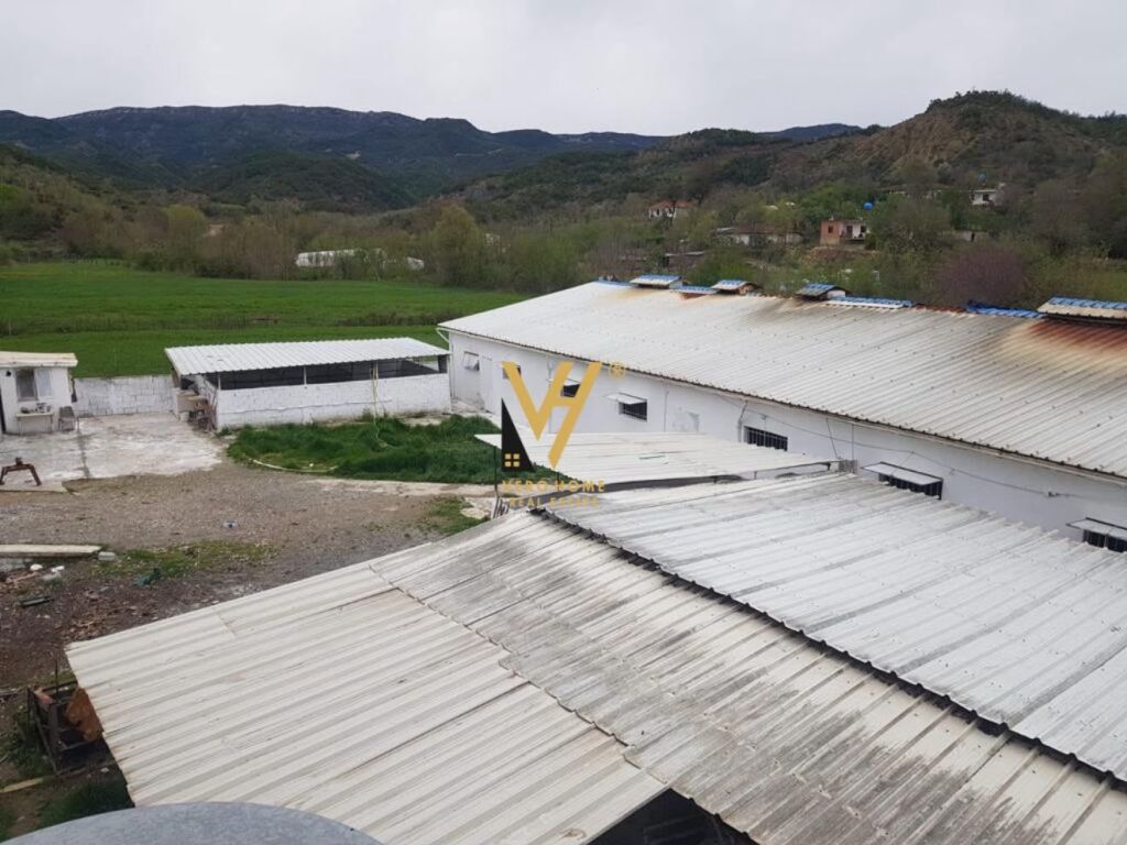 Ambient biznesi në shitje në Baldushk, Tiranë, 1 400 m²