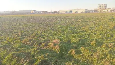 Land for sale in Tapize, Tirana, 5,574 m². Photo 2 of 5