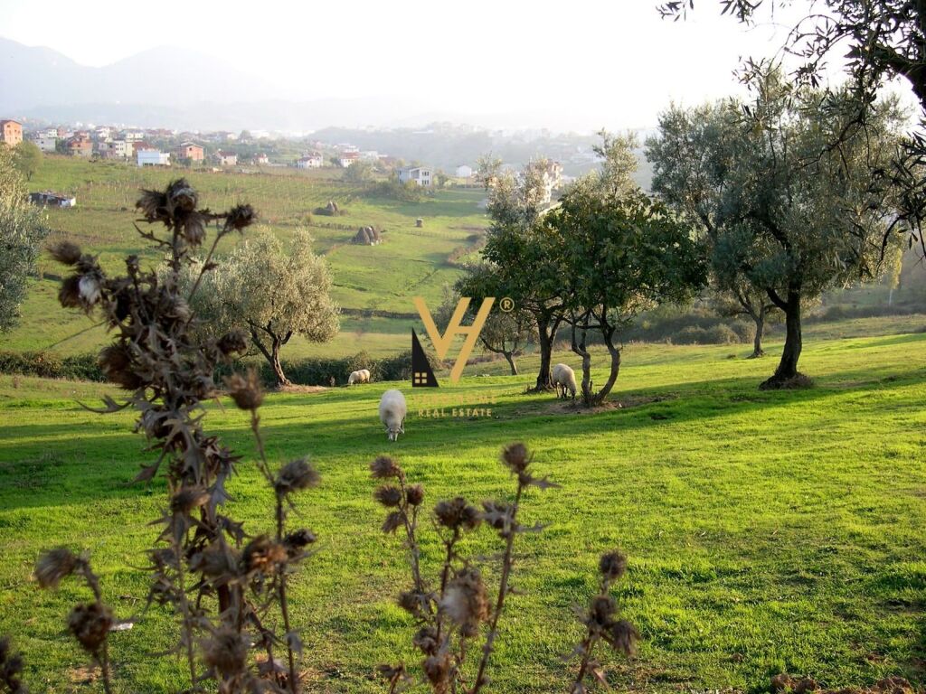 Tokë në shitje në Farkë, Tiranë, 6 000 m²