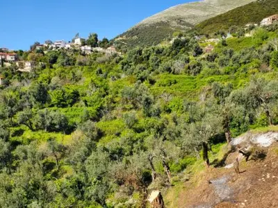 Land for sale in Lukove, Sarandë, 1,000 m². Photo 5 of 5