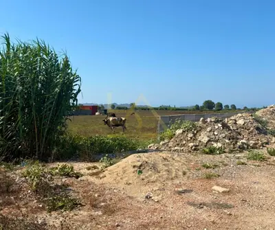 Tokë në shitje në Bisht Kamez, Durrës, 10 000 m². Foto 1 nga 4