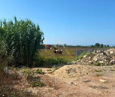 Tokë në shitje në Bisht Kamez, Durrës, 10 000 m². Foto 2 nga 4