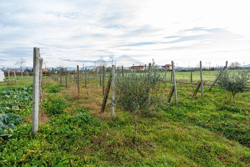 Shtëpi private në shitje në KATUND RI, Durrës, 9 480 m². Foto 11 nga 12