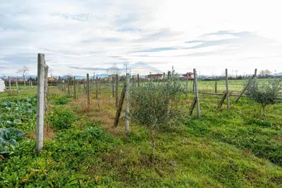 House for sale in Sallmone, Durrës, 9,480 m². Photo 11 of 12
