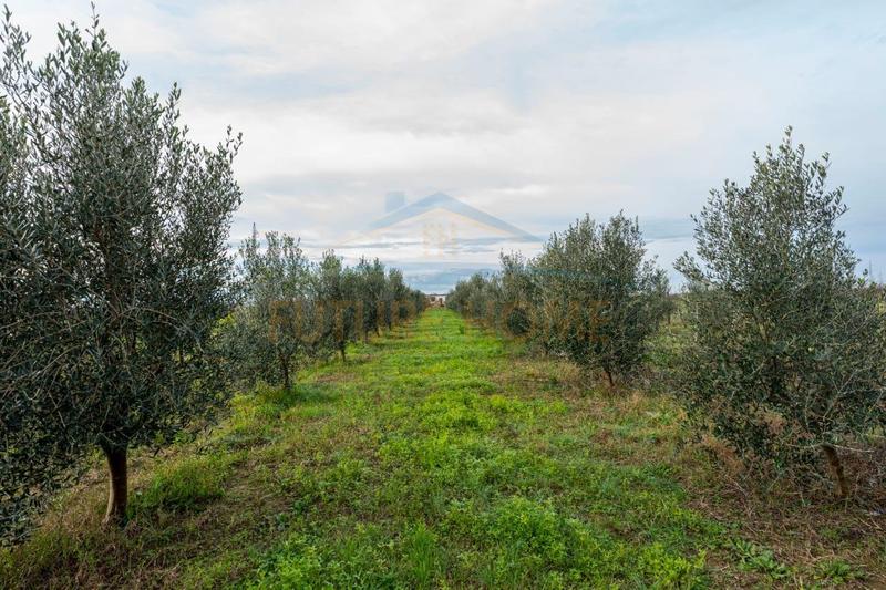 Shtëpi private në shitje në KATUND RI, Durrës, 9 480 m². Foto 2 nga 12