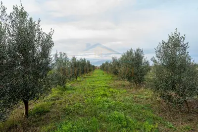 House for sale in Sallmone, Durrës, 9,480 m². Photo 2 of 12