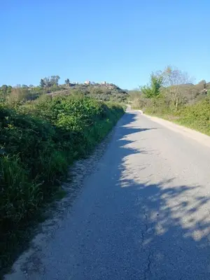 Land for sale in Ndroq, Tirana, 4,000 m². Photo 5 of 5