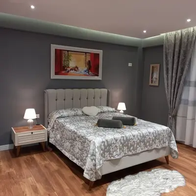 Apartment 1+1 for rent in Rruga Margarita Tutulani, Tirana, 70 m². Photo 1 of 12