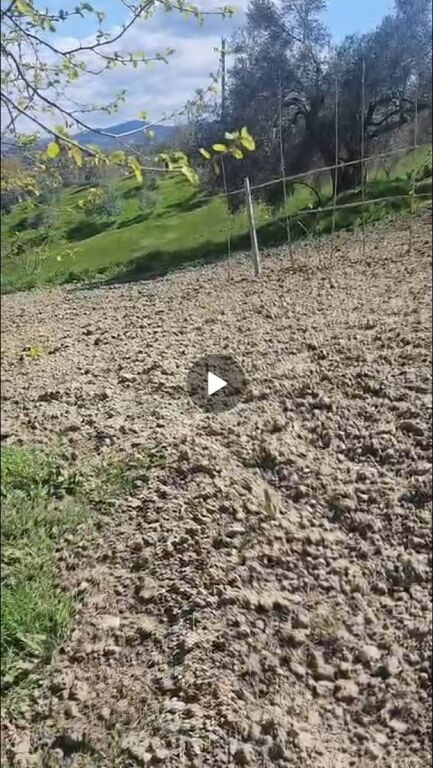 Tokë në shitje në Pjeze, Durrës, 3 000 m². Foto 1 nga 3