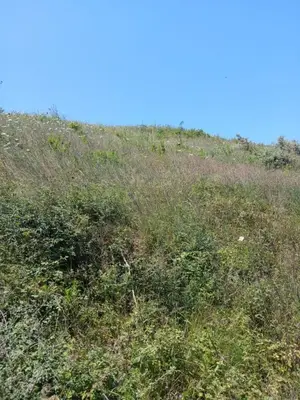 Tokë në shitje në Kepi i Rodonit, Durrës, 3 850 m². Foto 3 nga 4