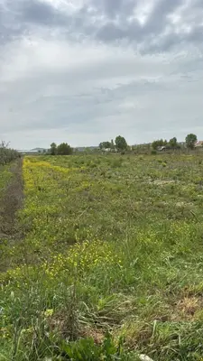 Tokë në shitje në Koxhas, Durrës, 10 000 m². Foto 2 nga 4