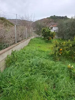 Land for sale in Divjakë, Divjakë, 3,000 m². Photo 5 of 11