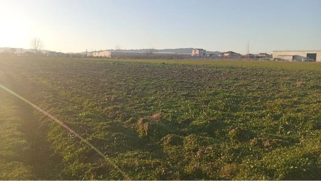 Land for sale in Tapize, Tirana, 5,574 m². Photo 1 of 5