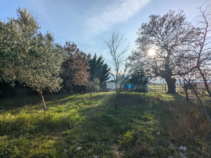 Vilë në shitje në Tragjas, Vlorë, 3 500 m². Foto 6 nga 12