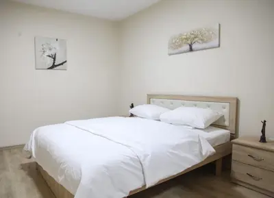 Apartament 2+1 me qera në Urgjenca e Pediatrisë, Tiranë, 120 m². Foto 3 nga 11